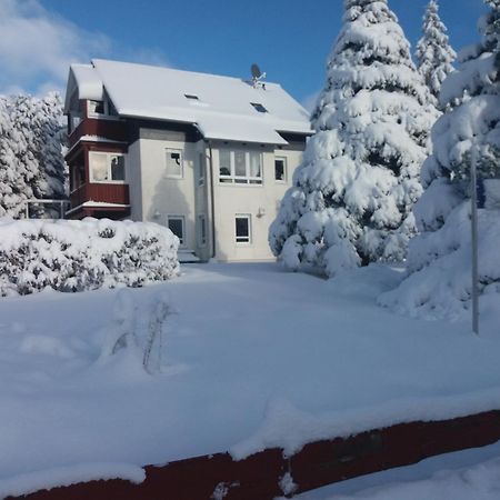 Ferienwohnung Sonnenblume Hohegeiß Εξωτερικό φωτογραφία