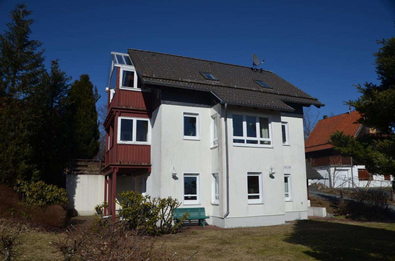 Ferienwohnung Sonnenblume Hohegeiß Εξωτερικό φωτογραφία