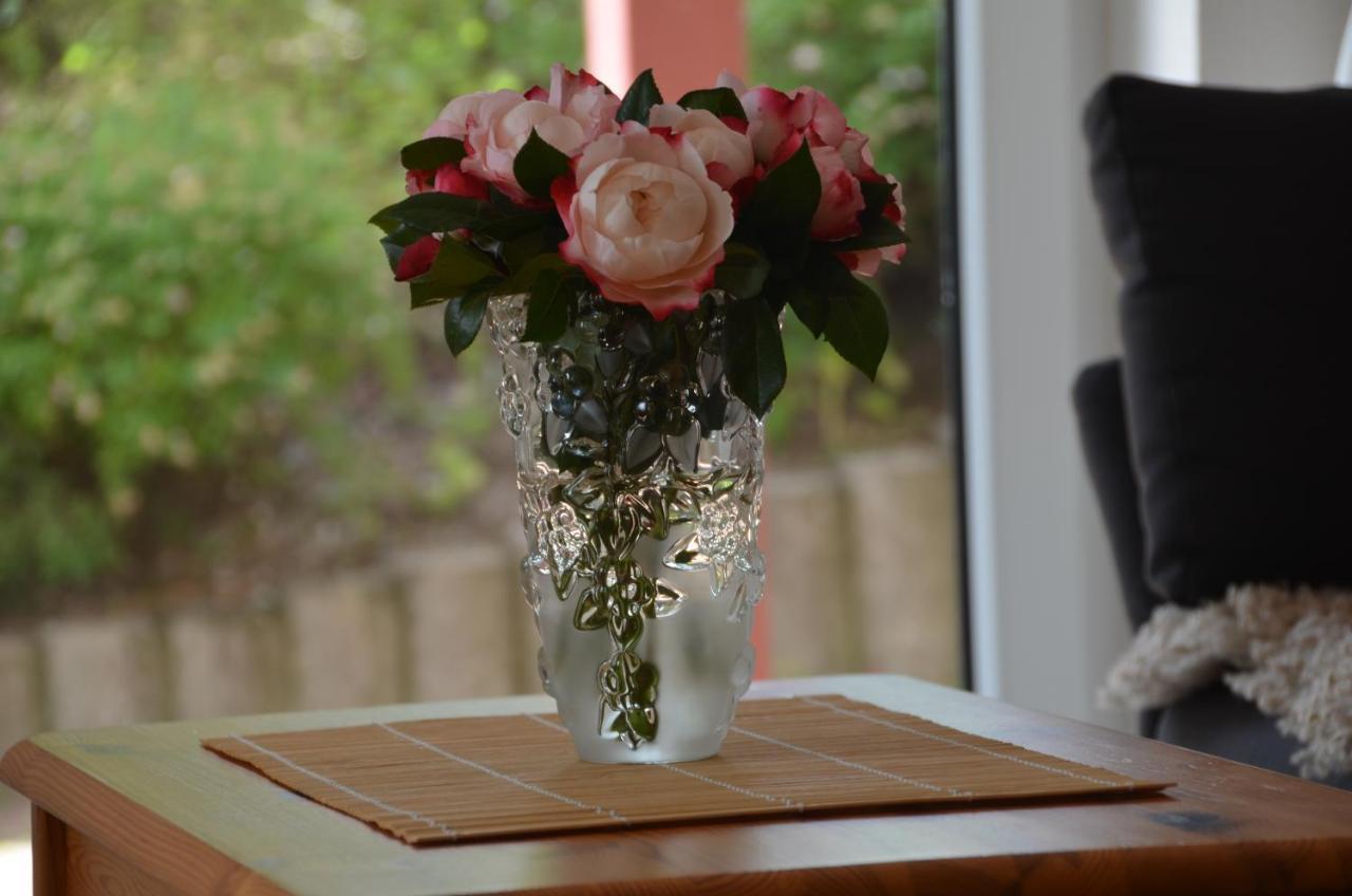 Ferienwohnung Sonnenblume Hohegeiß Εξωτερικό φωτογραφία
