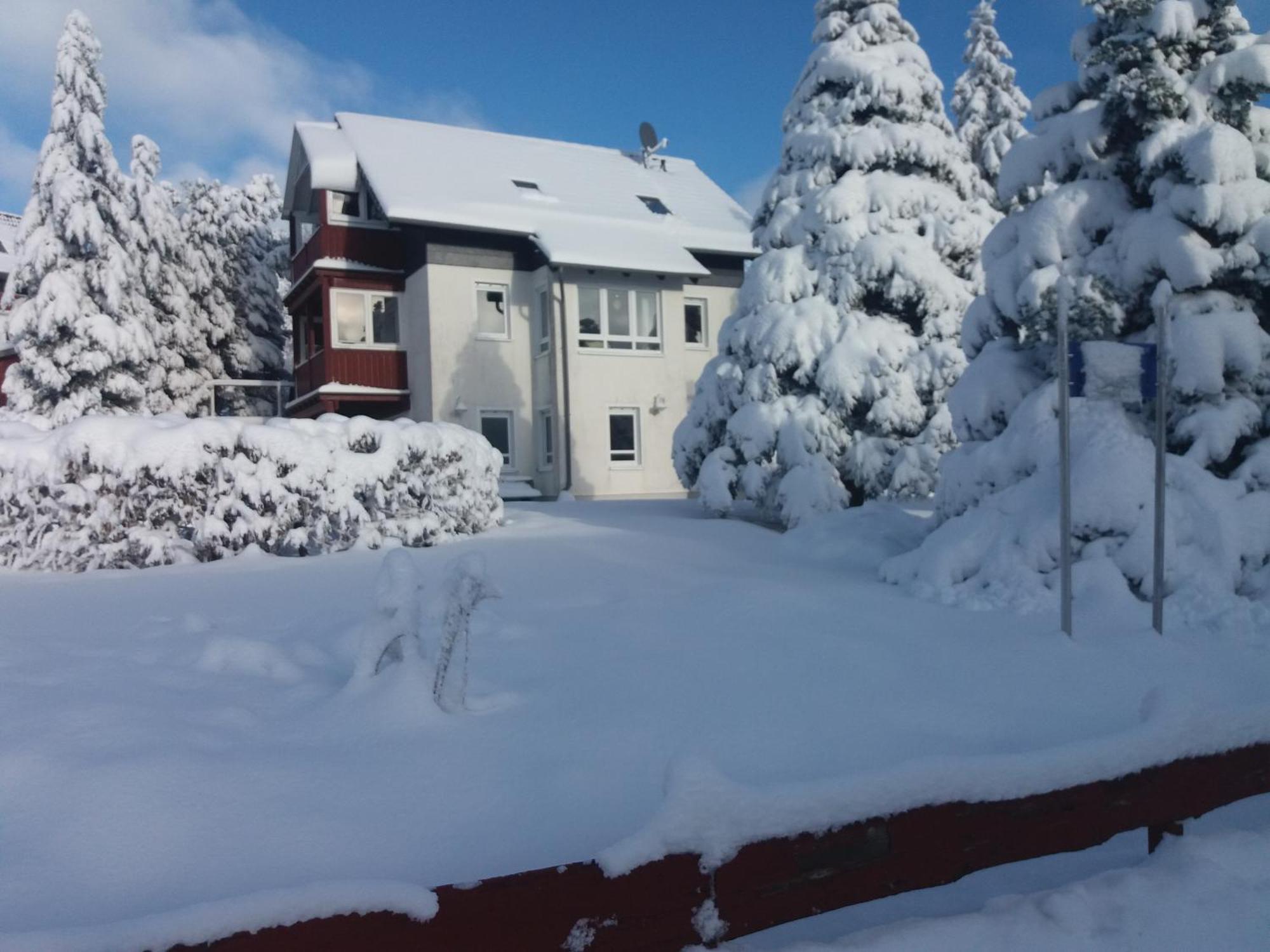 Ferienwohnung Sonnenblume Hohegeiß Εξωτερικό φωτογραφία